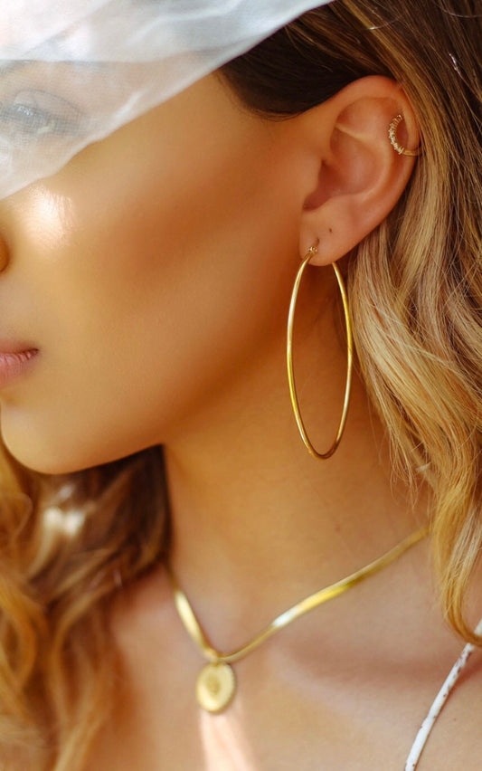 Oval Hoop Earrings