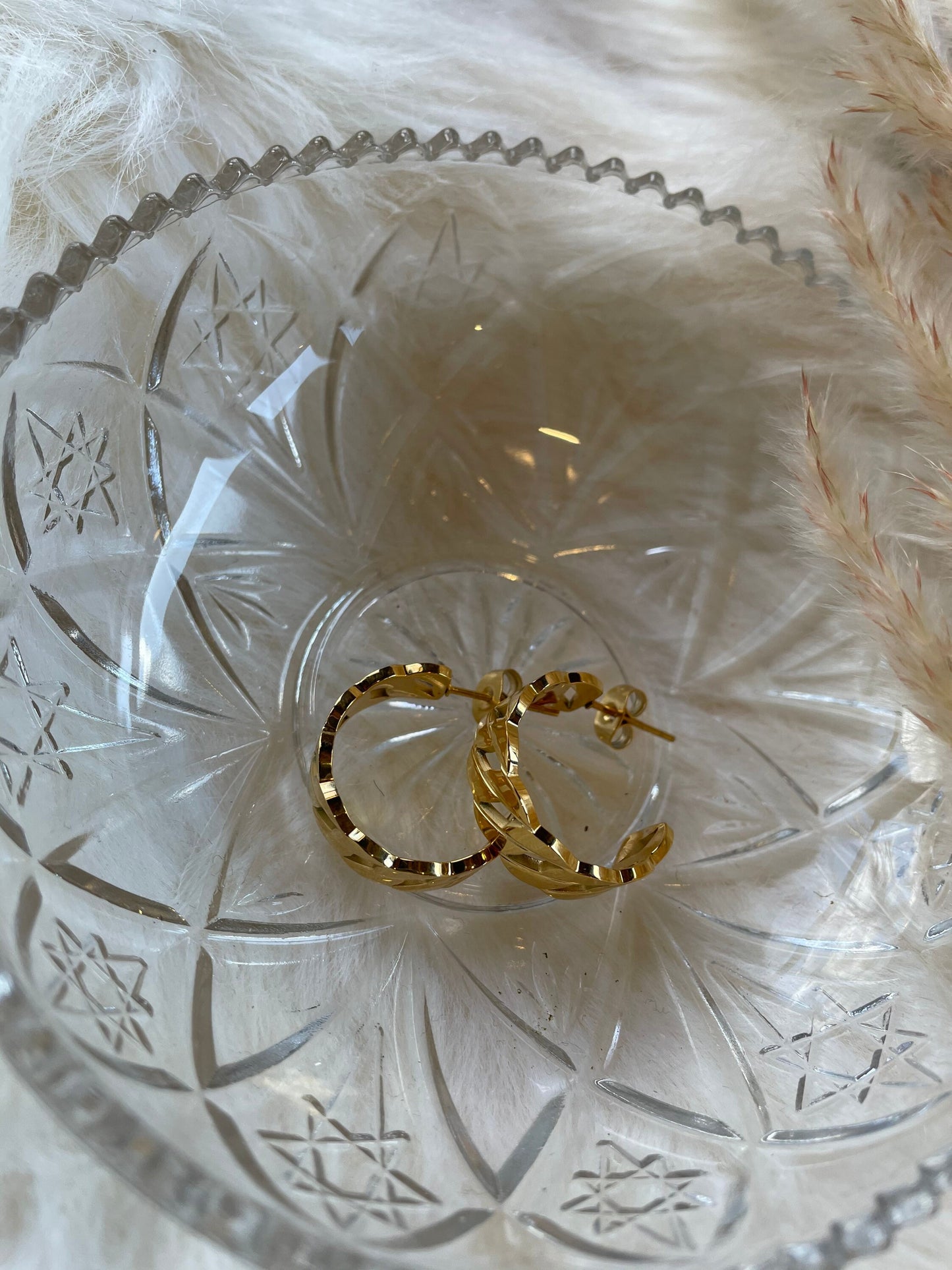 Stephanie Hoop Earrings